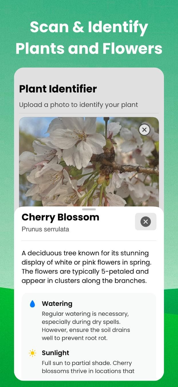 AI Plant Identifier App - Personalized plant care instructions